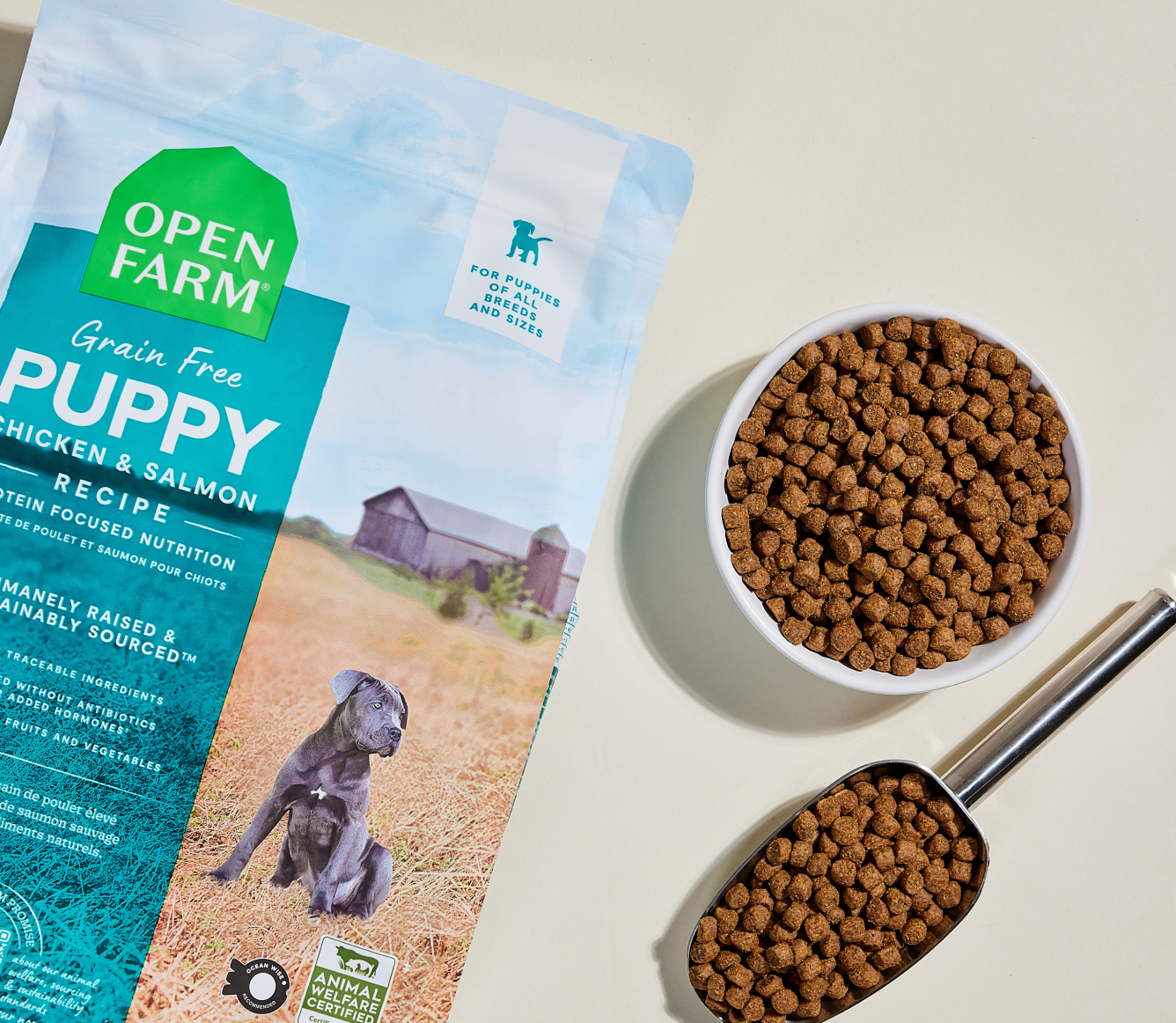 Chicken & Salmon Grain-Free Puppy Kibble