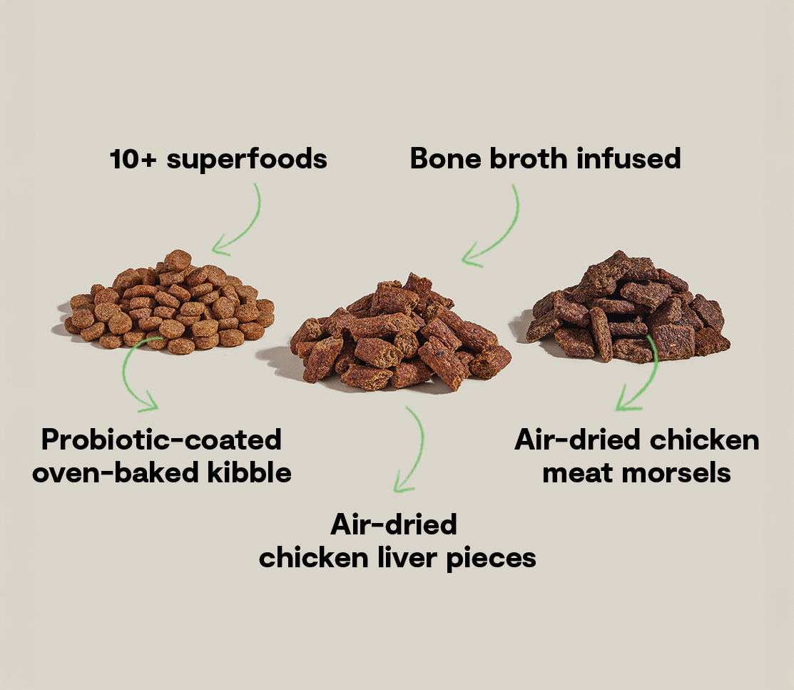 Epic Blend Chicken & Superfood Dry Dog Food