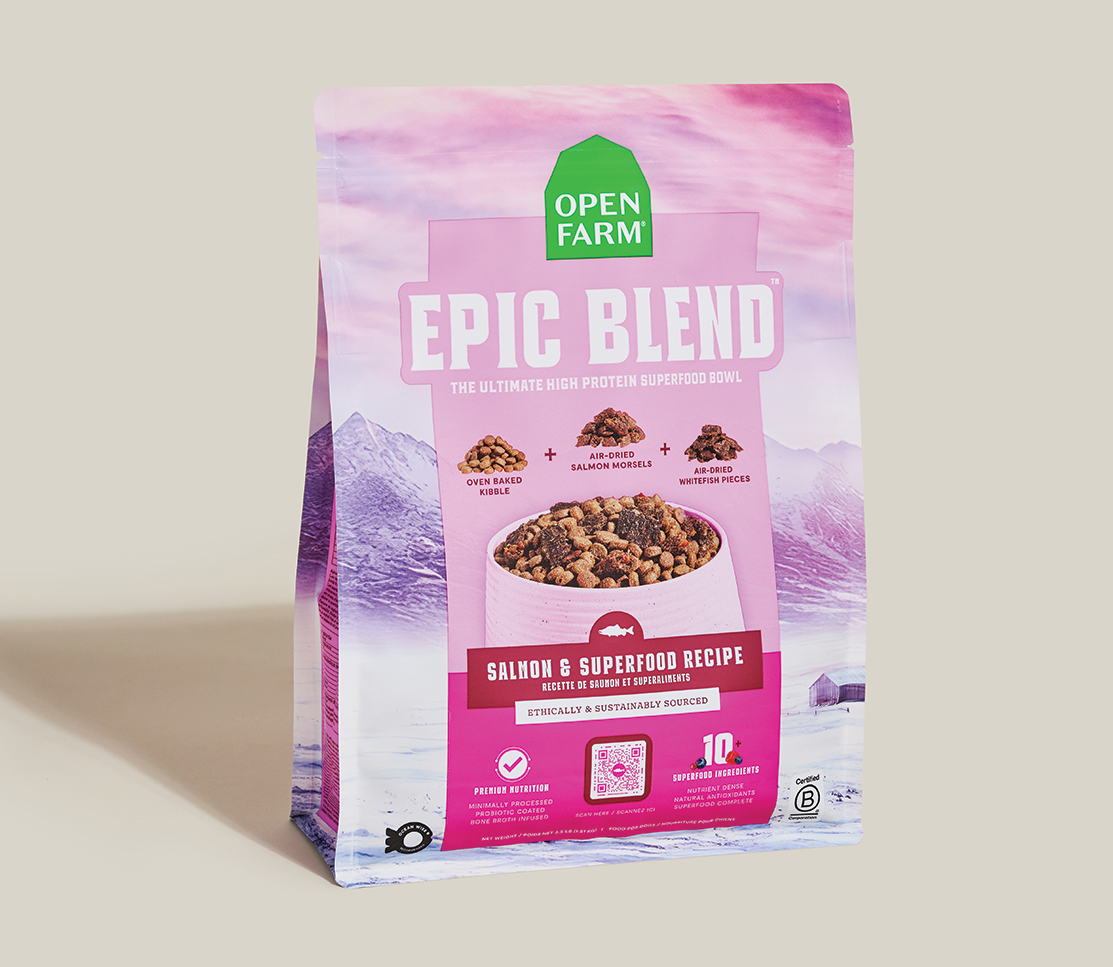Epic Blend Salmon & Superfood Dry Dog Food