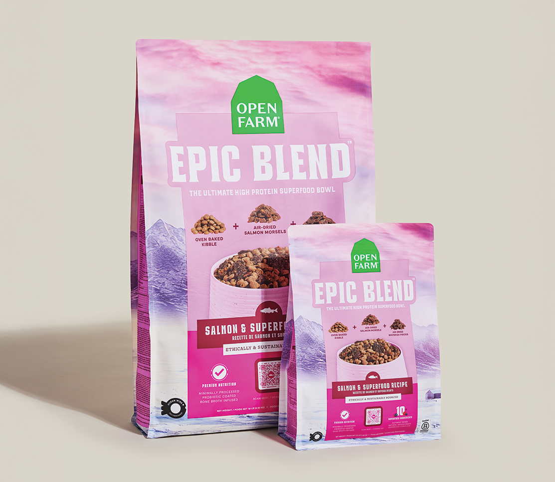 Epic Blend Salmon & Superfood Dry Dog Food