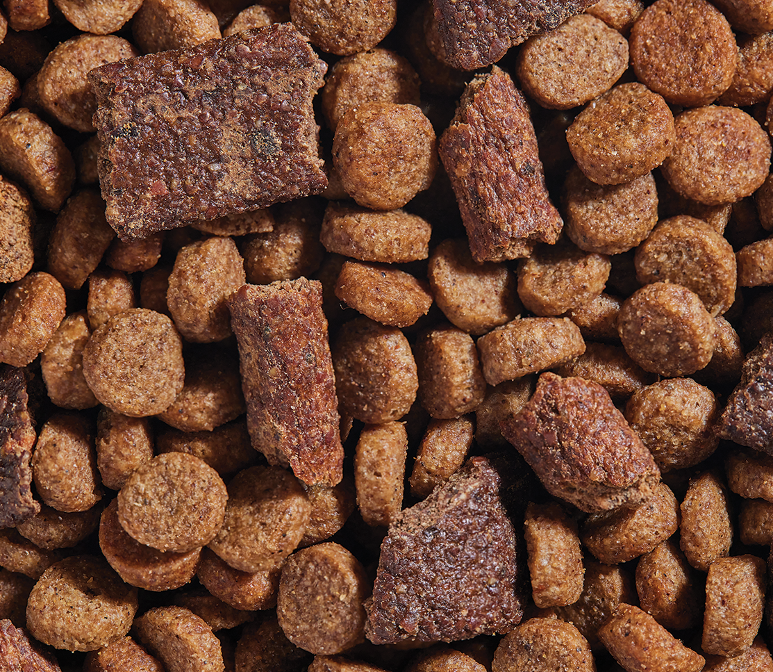 Epic Blend Salmon & Superfood Dry Dog Food
