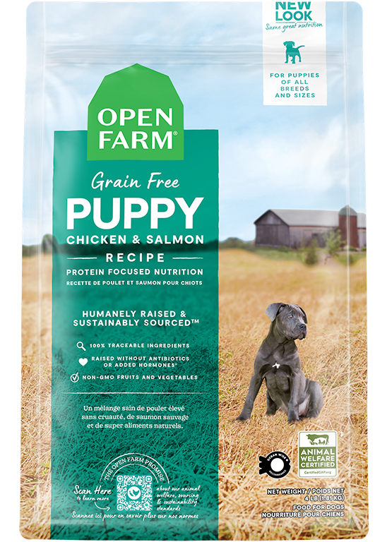 Chicken & Salmon Grain-Free Puppy Kibble